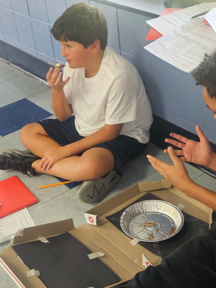 solar ovens 