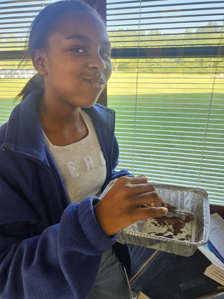 Solar ovens 