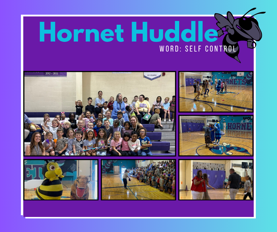 Self-Control Image for Hornet Huddle