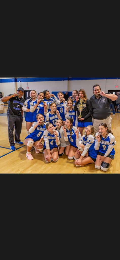 volleyball team