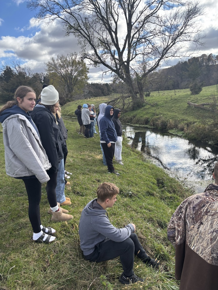 watching the shocking 