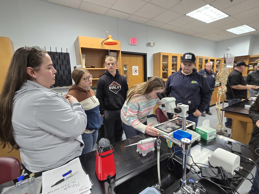 Looking at fertilized eggs