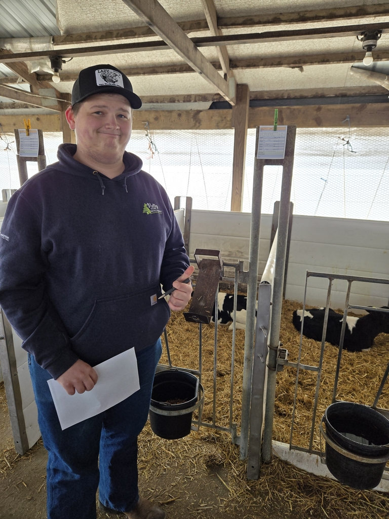 Thumbs up to all healthy calves