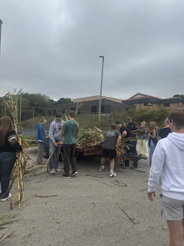 FFA Corn Stalk pic 2