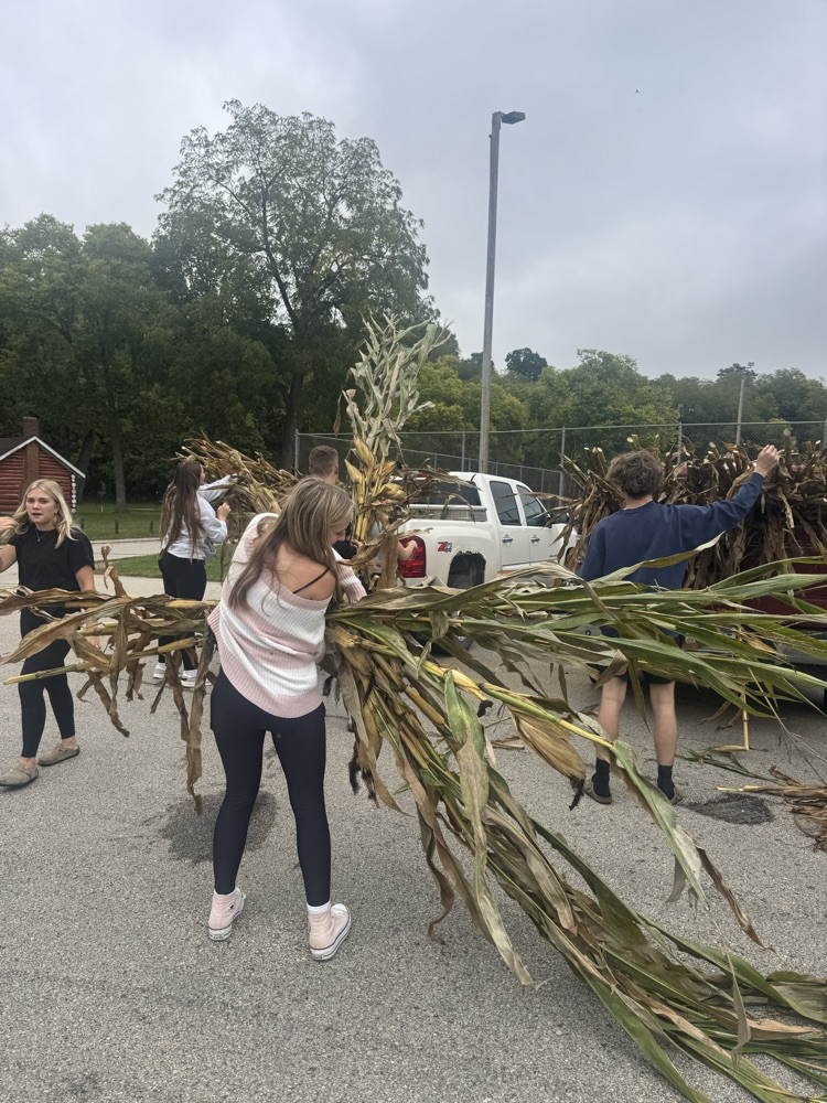 FFA Corn Stalk pic 3