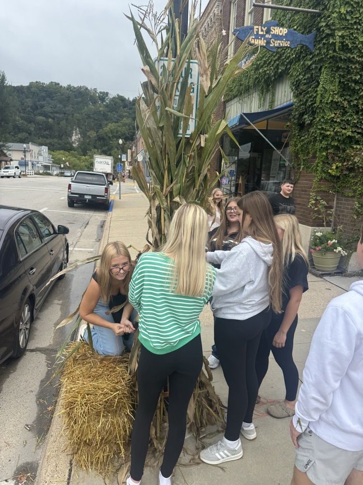 FFA Corn Stalk pic 5