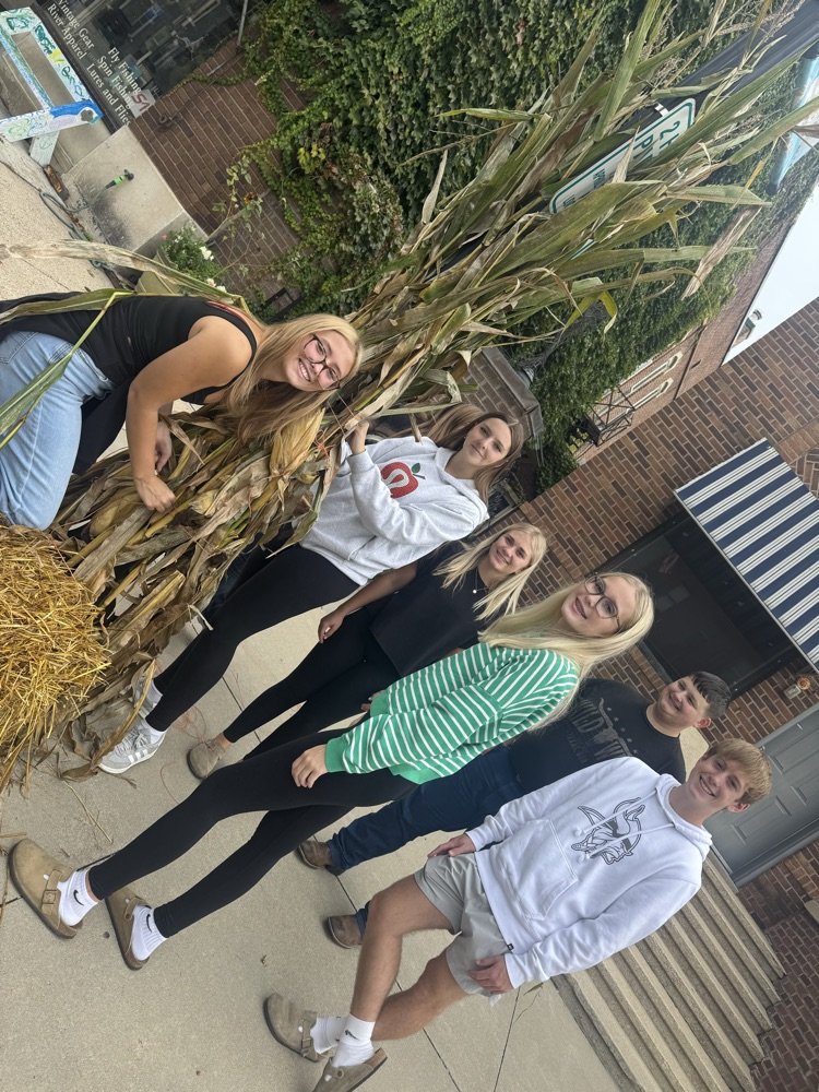 FFA Corn Stalk pic 6