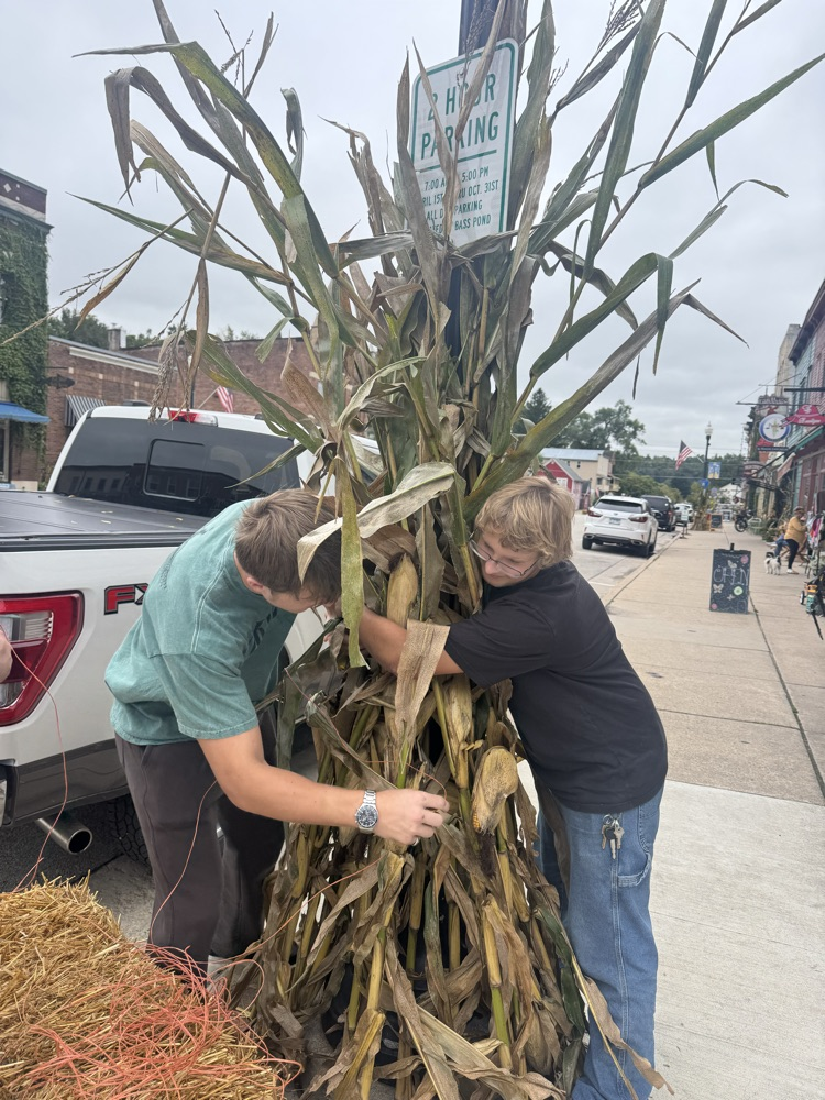 FFA Corn Stalk pic 7