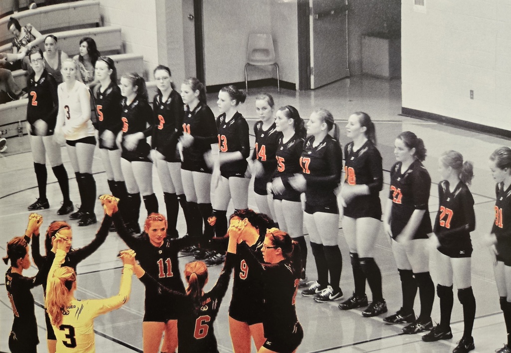 2011 Lanesboro Volleyball Team