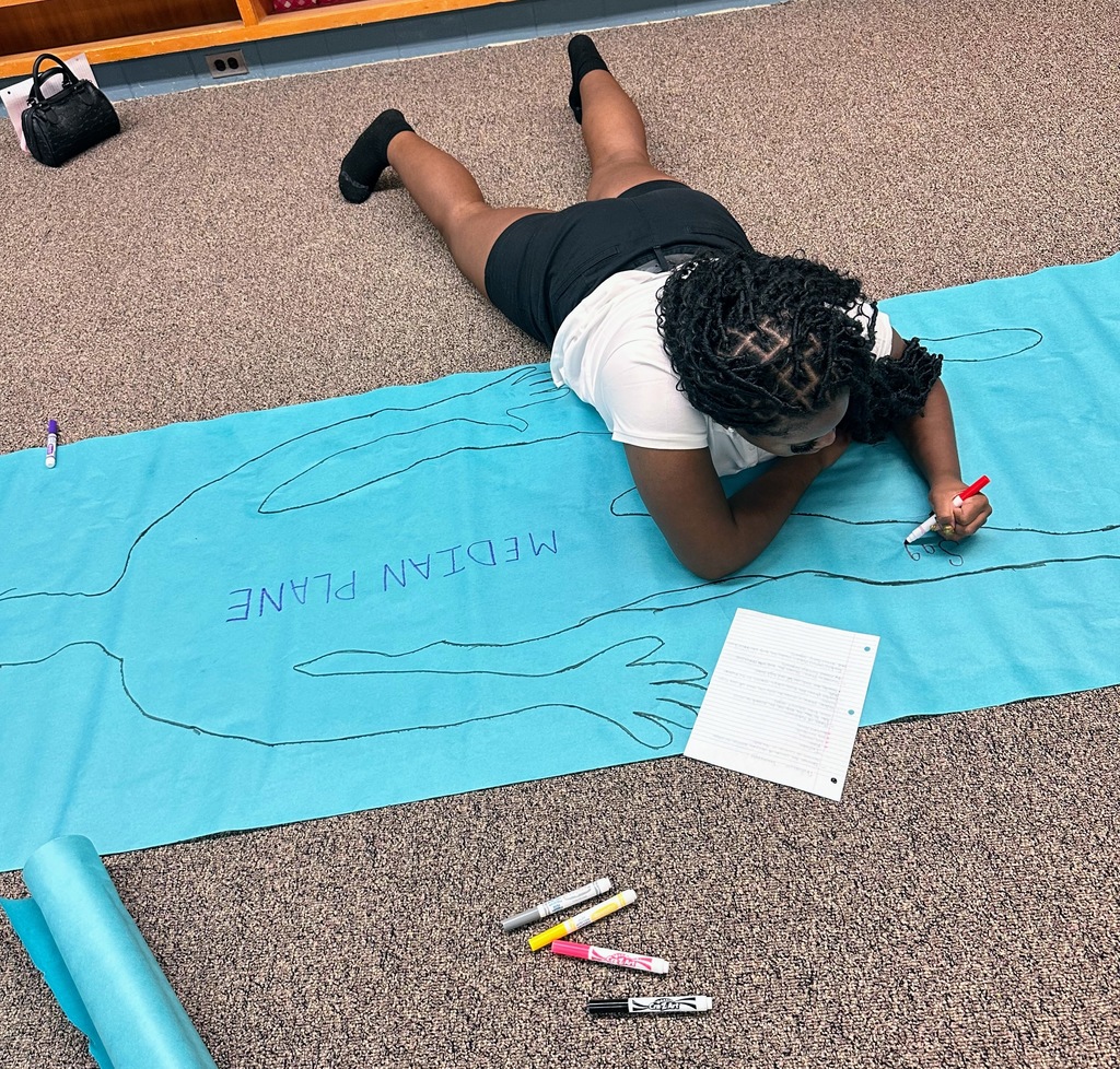 The Human Body Functions & Structures class took their learning beyond the classroom and into the library last week! 🏃‍♂️➡️📖  They were diving into anatomical planes ✍️🫀 and needed some extra space to stretch out and explore the concepts hands-on.
