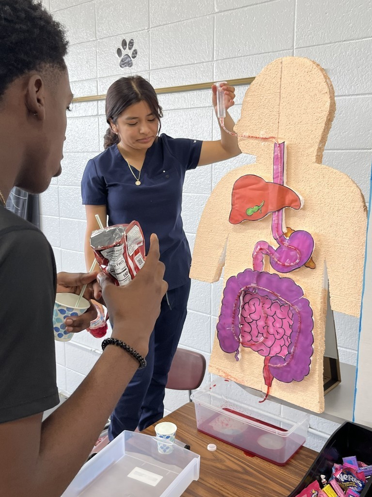Math & Science Night kids showing how the stomach works