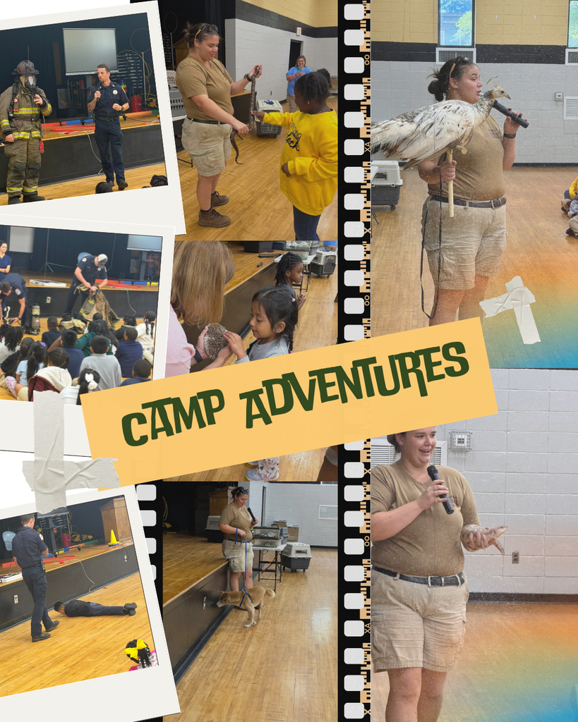 Exciting pictures of Lanett Fire Department and the Wild Animal Safari in Pine Mountain, Georgia at summer camp. ¡Emocionantes fotos del Departamento de Bomberos de Lanett y del Wild Animal Safari de Pine Mountain, Georgia, durante nuestro Campamento de Verano!