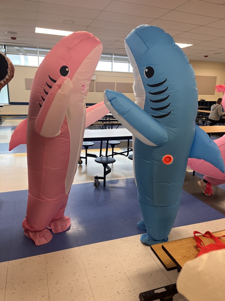 sharks