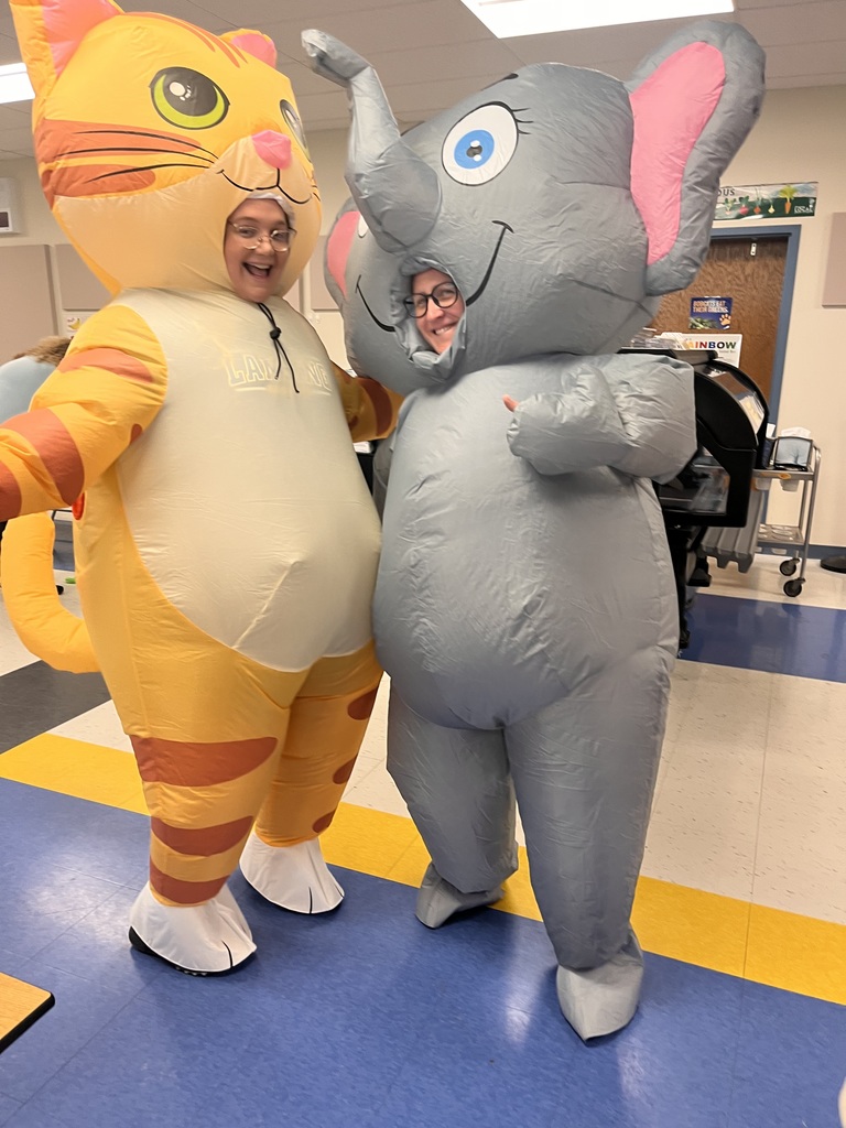 cat and elephant