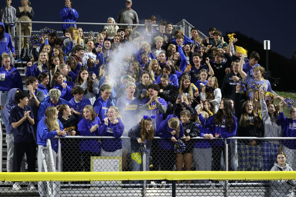 image of the crowd in the stands as they react to a play on the field 