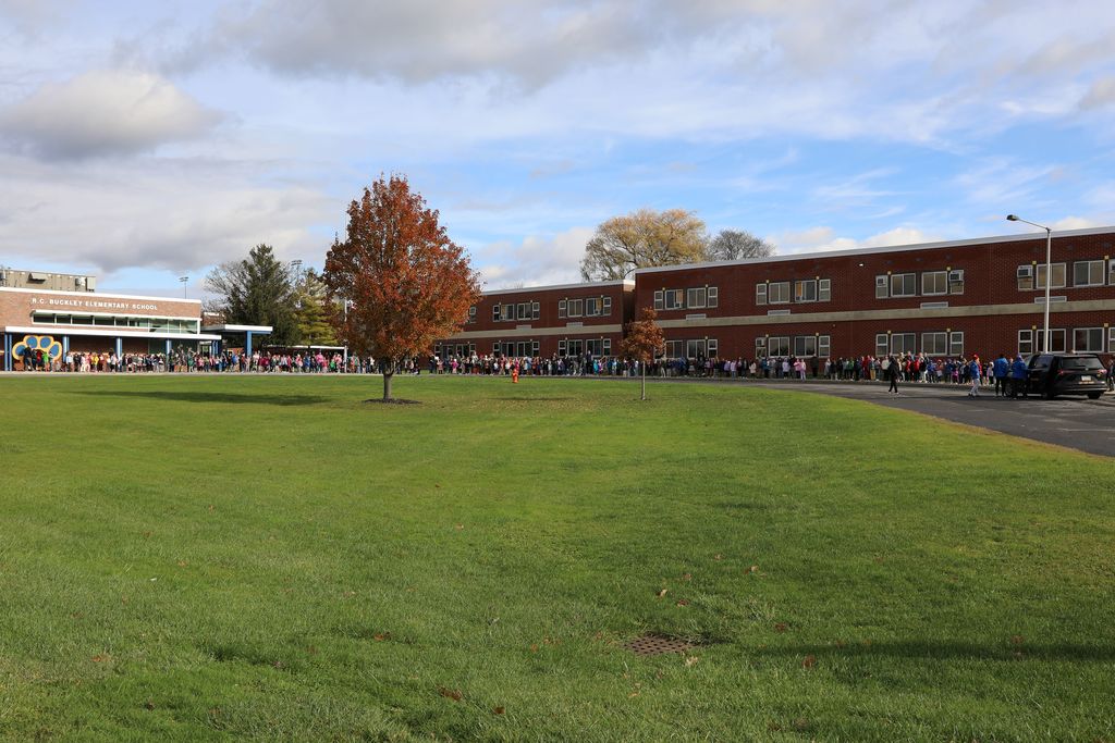 a wide image of the entire elementary school lined up 