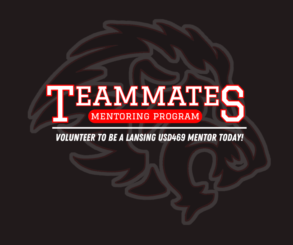 Teammates mentoring program