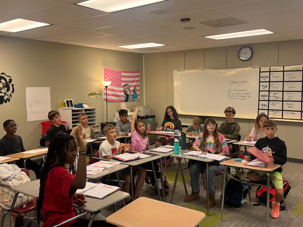 Students sitting in their desks learning