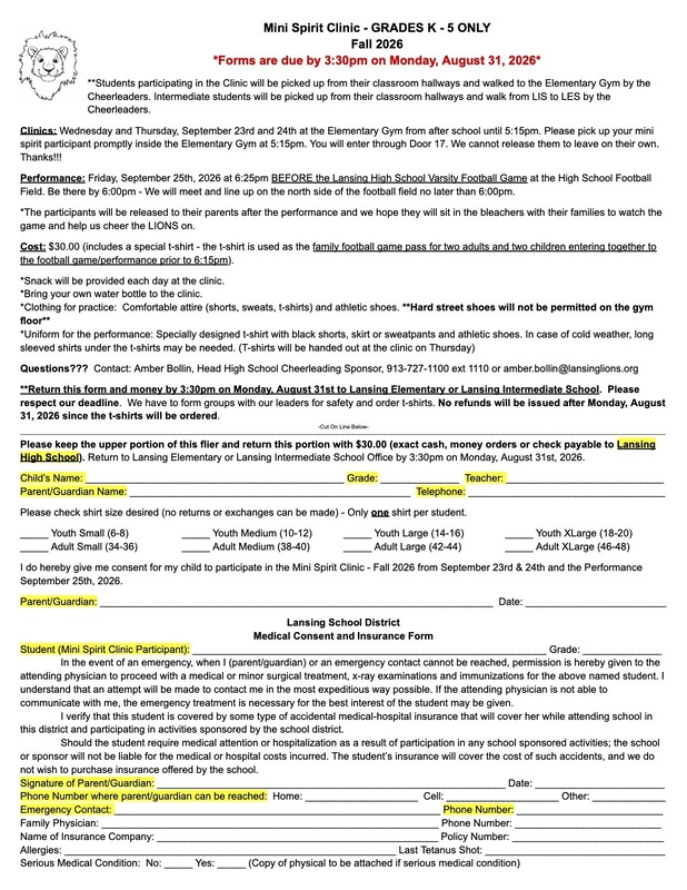 MIni Spirit Clinic Flyer and Graphic