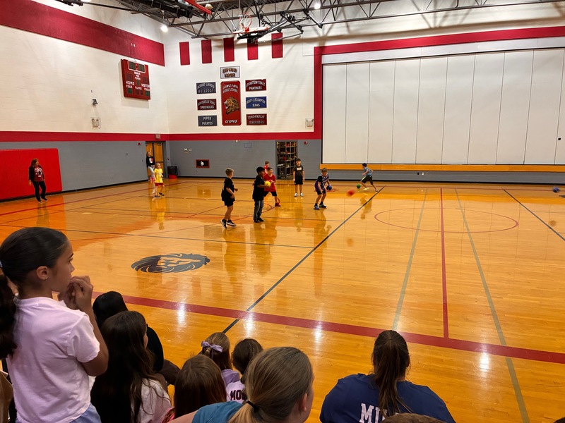 Lansing Intermediate School