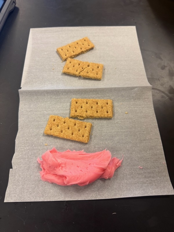 First-Year Teacher Spotlight: Samantha Dale - 8th Graders Experience Hands-On Learning in Science Class