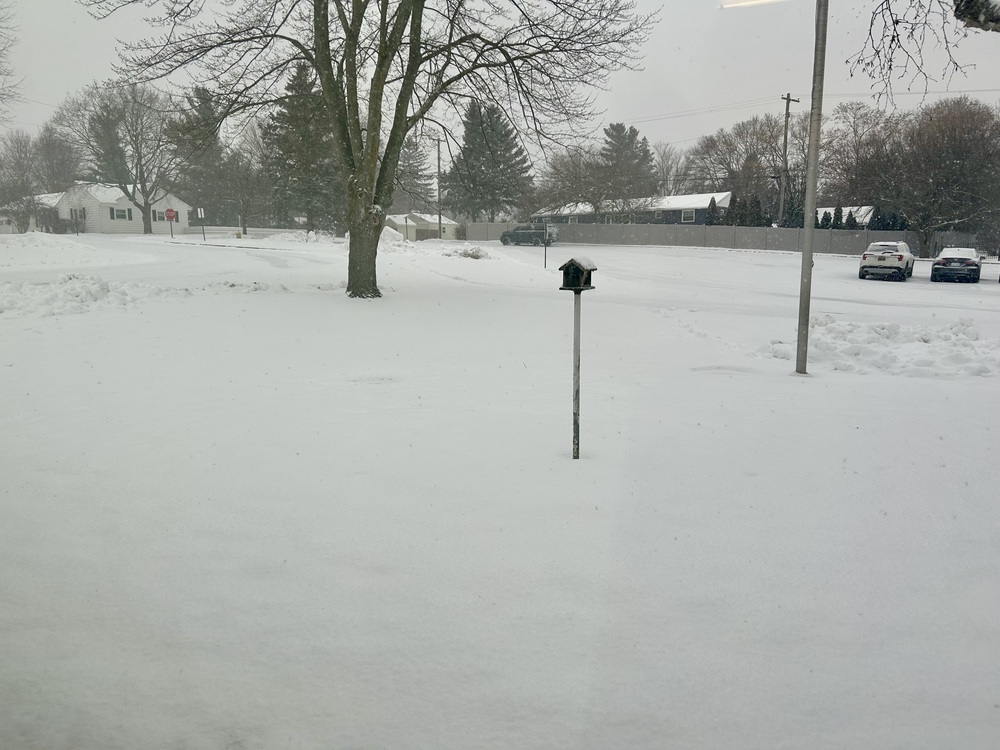 Lapeer snowstorm