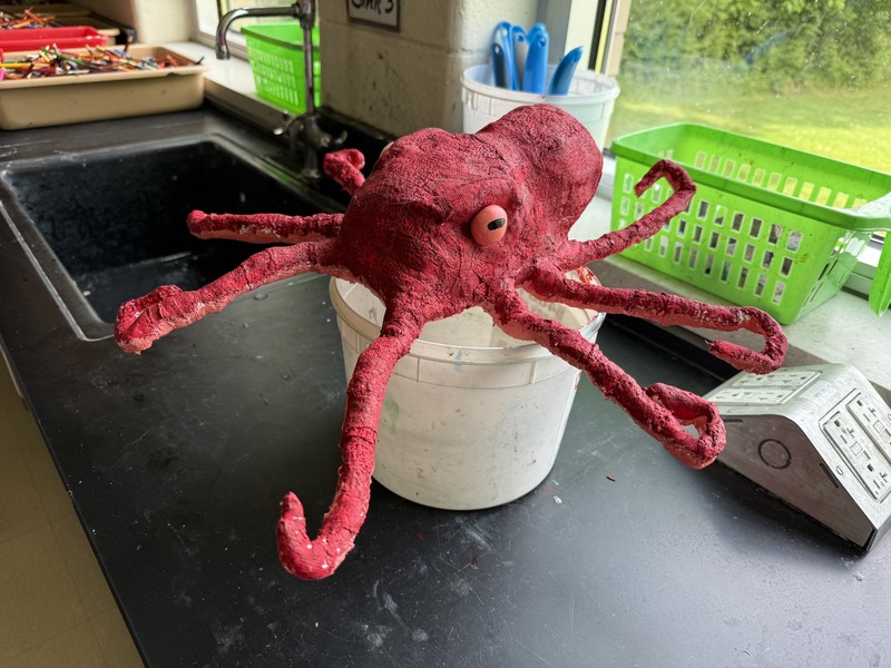 An octopus art project