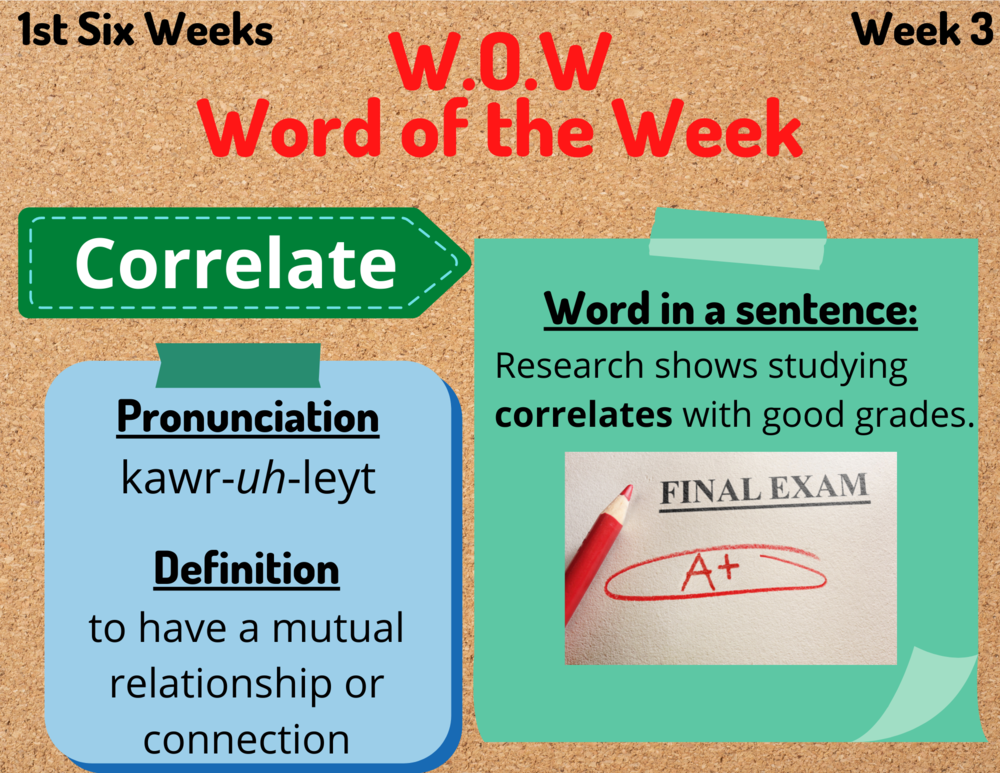 Wow Word of the Week