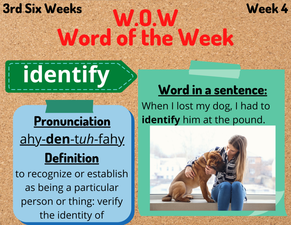 word of the week