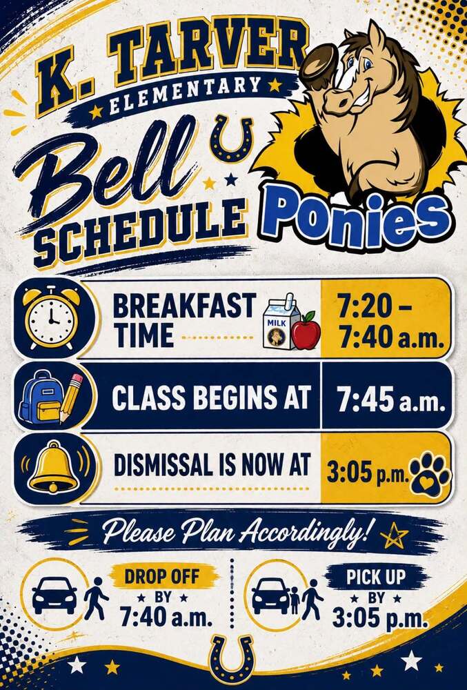 Daily Schedule