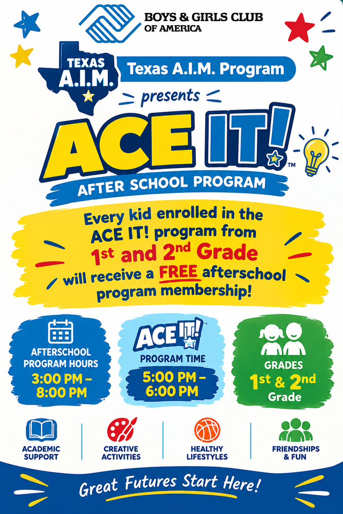 ACE IT program