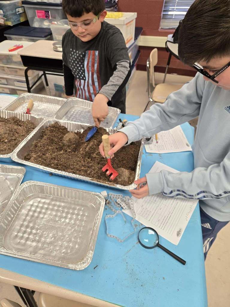 Dinosaur Activity Mr. Q's Class