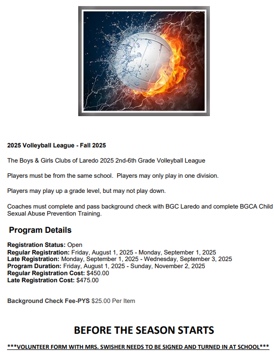 volleyball flyer