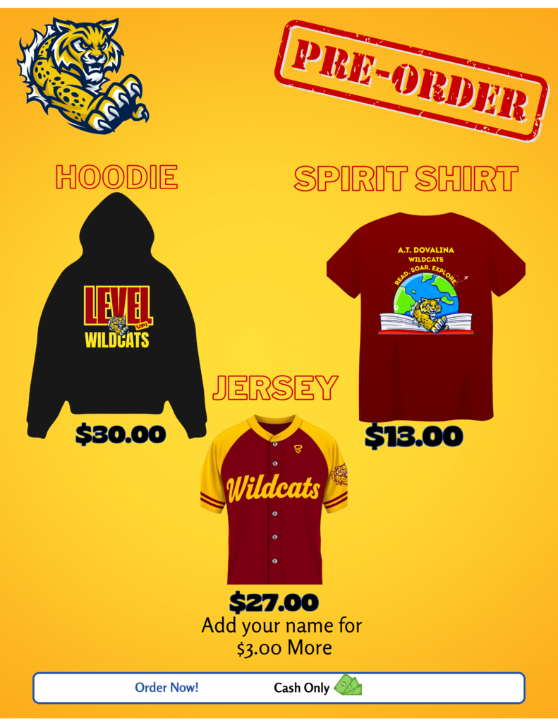 spirit shirt