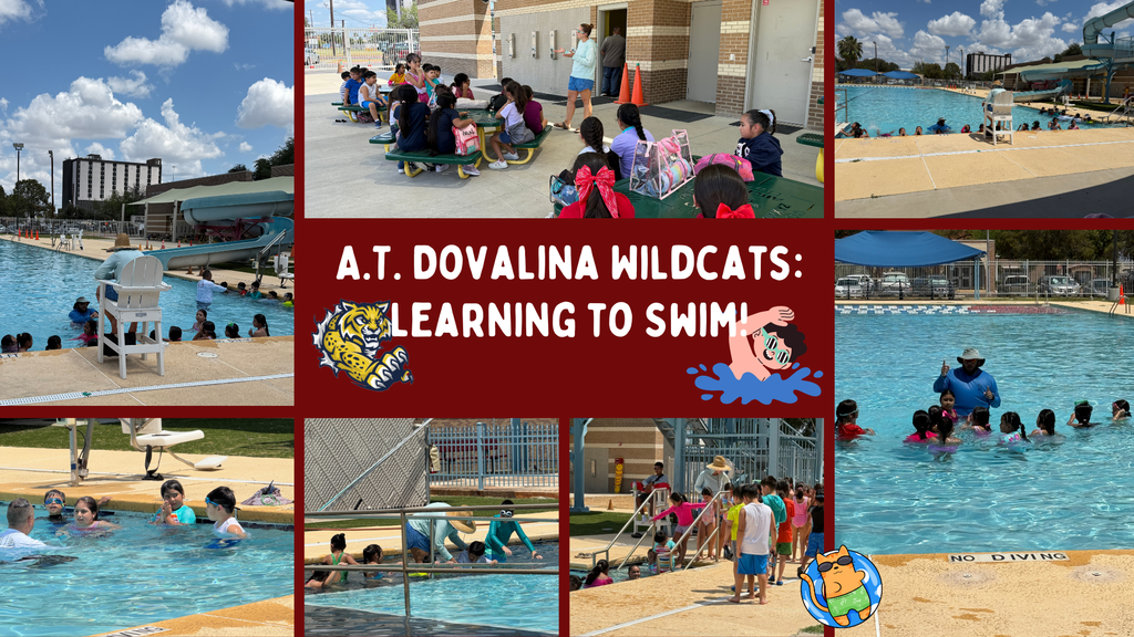 2nd Grade Wildcats: Swimming Lessons