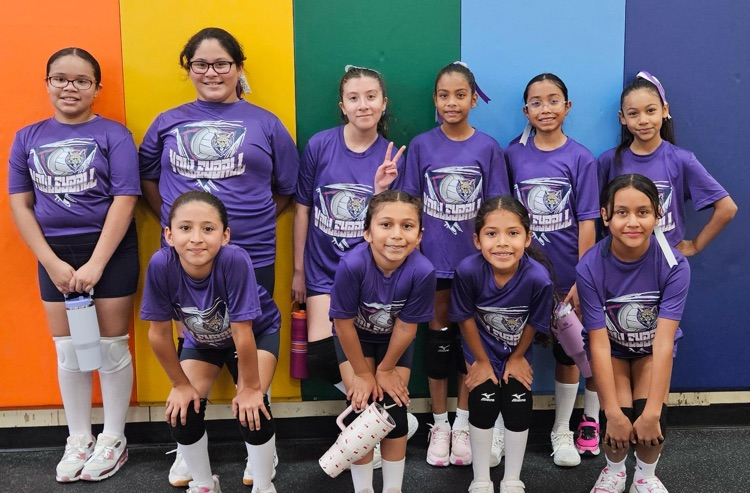 Ryan purple team