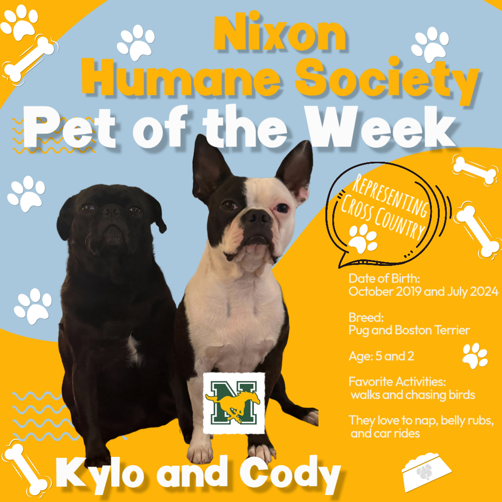 Pet of  the Week