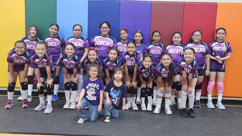 volleyball game