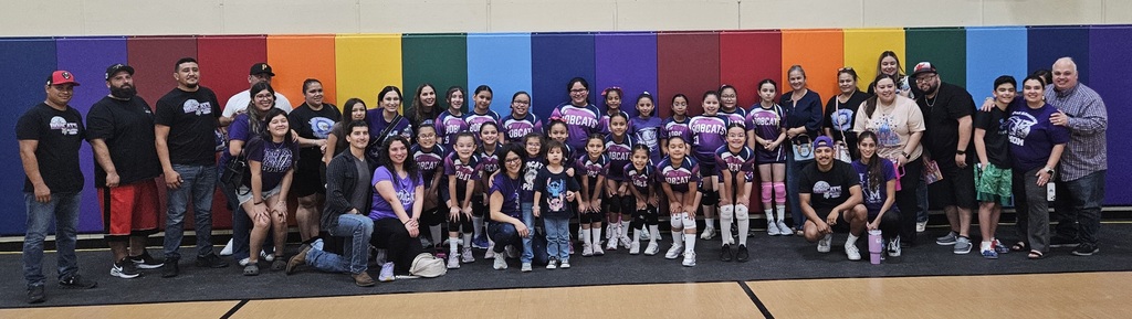 volleyball game