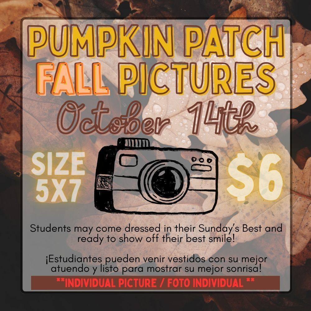 pumpkin patch pictures