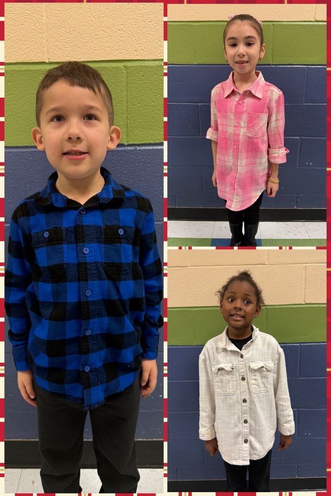 Day 6 Mad About Plaid