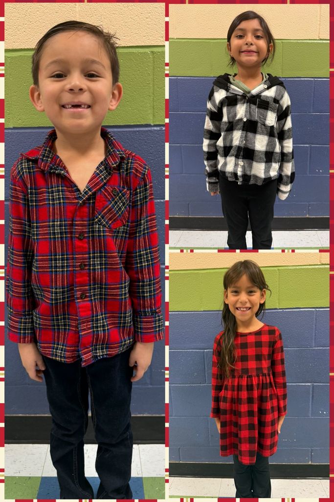 Day 6 Mad About Plaid