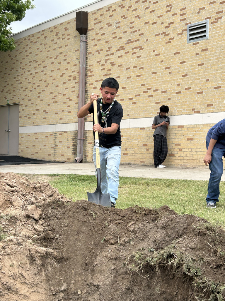 Martin High School Planting Tree Project 
