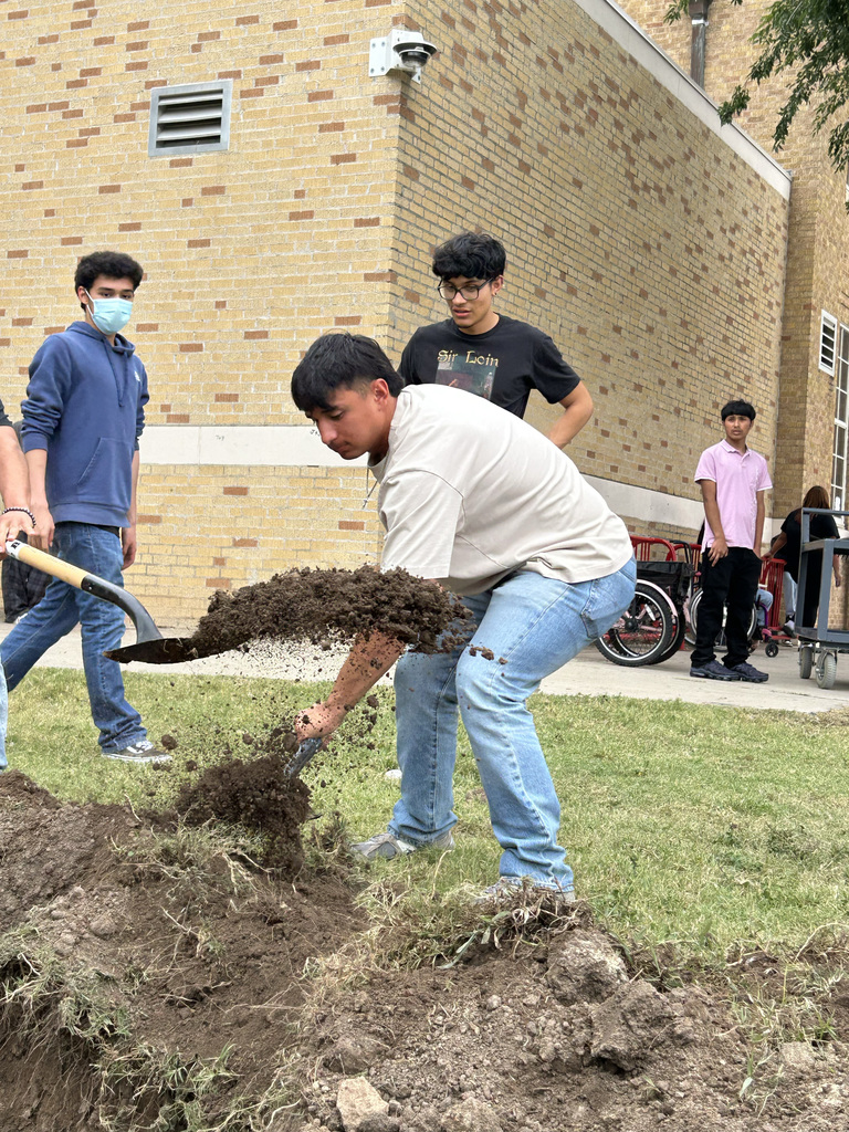Martin High School Planting Tree Project 