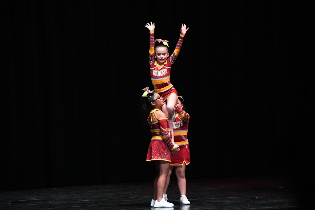 tiger team fine arts extravaganza