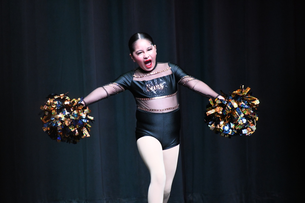 tiger team fine arts extravaganza
