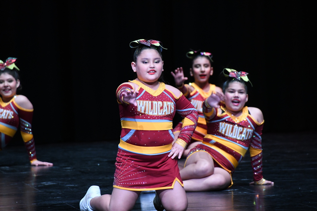 tiger team fine arts extravaganza