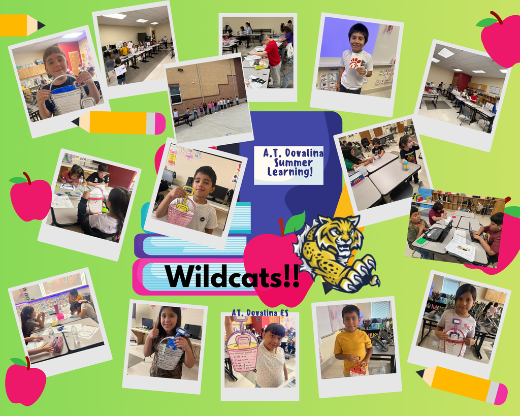 Summer School Fun!