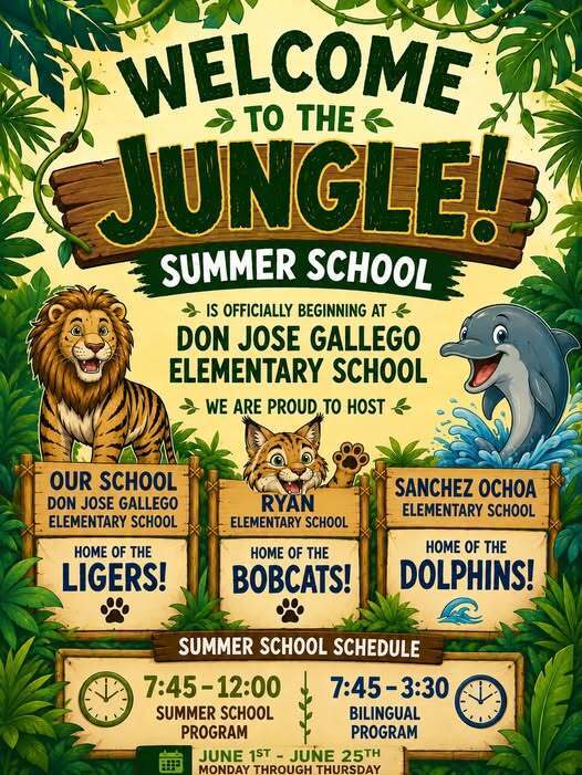 school summer