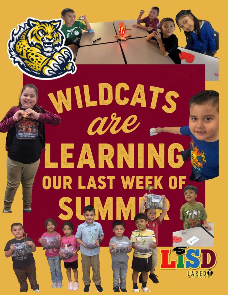 Summer School Week 4